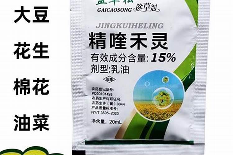 精喹禾灵喷洒在小麦上怎么治