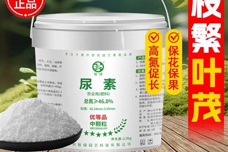 果树能用尿素施肥吗