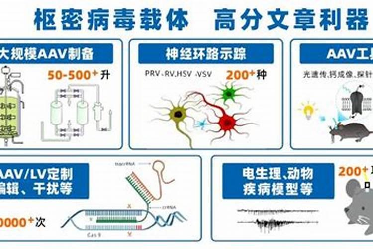 鱼溶浆和鱼蛋白有什么区别