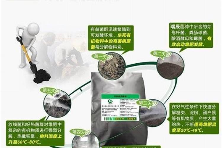 水培肥料怎么做