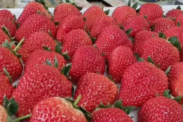 为什么草莓的甜度不足,要怎样去解决？