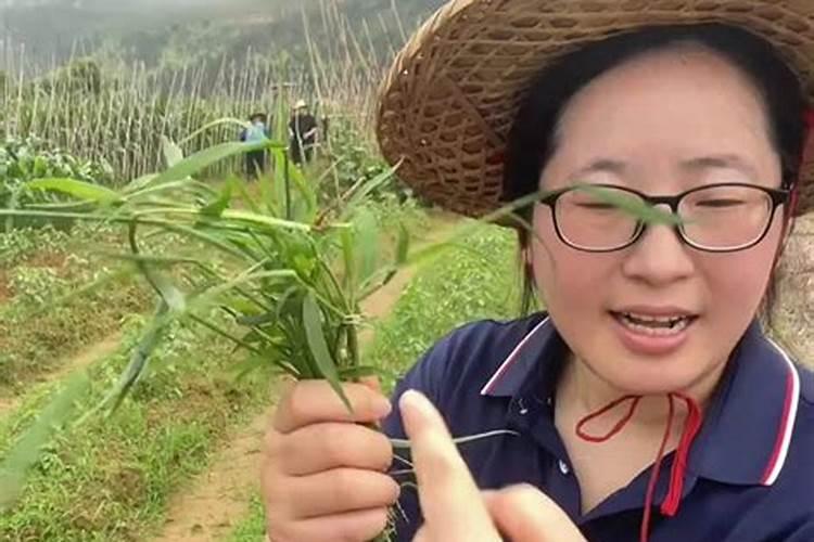 水桶种菜技巧