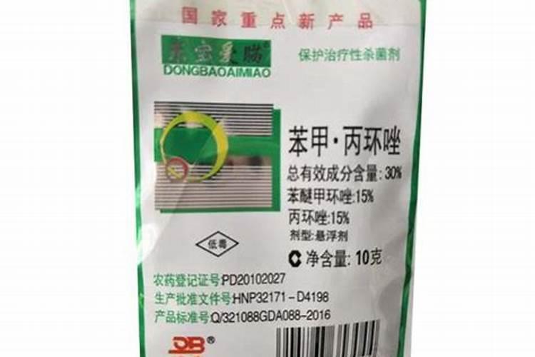 玉米顶腐病图片的防治