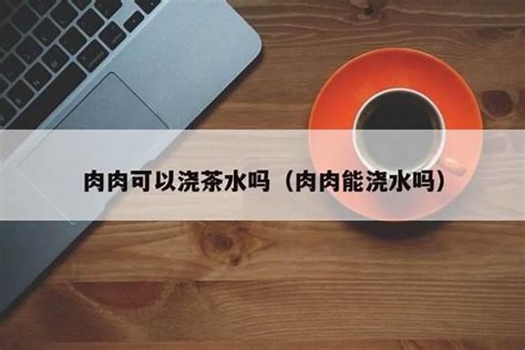 多肉施肥用什么肥料长得壮