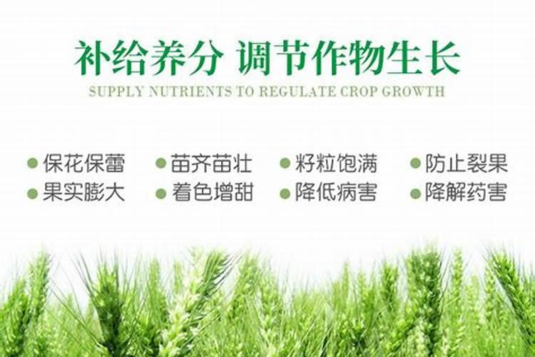 微量元素肥的主要作用和功能(微量元素肥料是指哪些)