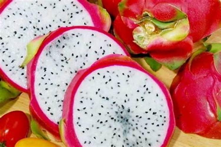 种火龙果用什么肥料好