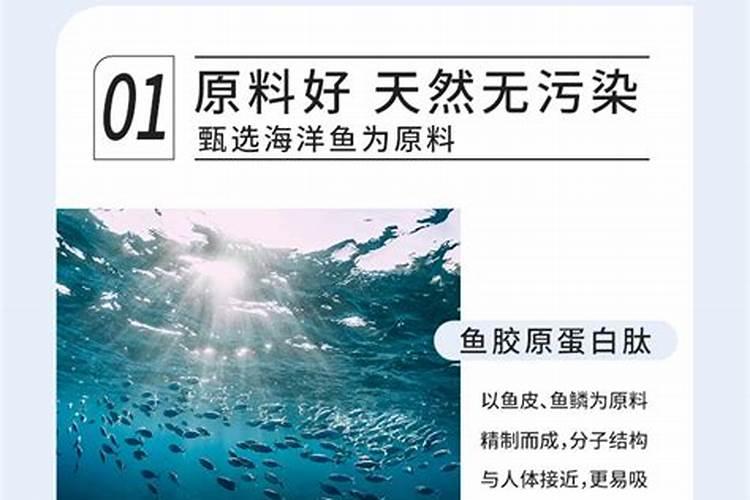 鱼蛋白肥料的功效与作用