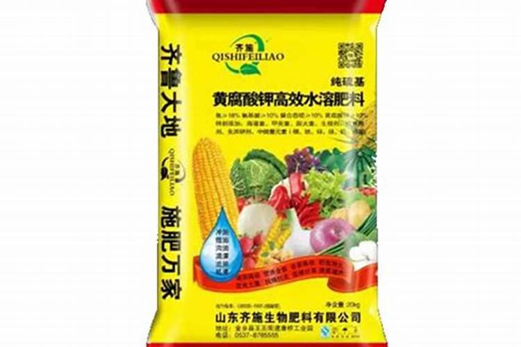 植物叶片发黄要施什么肥