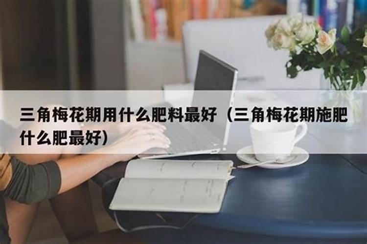 三角梅施什么肥好