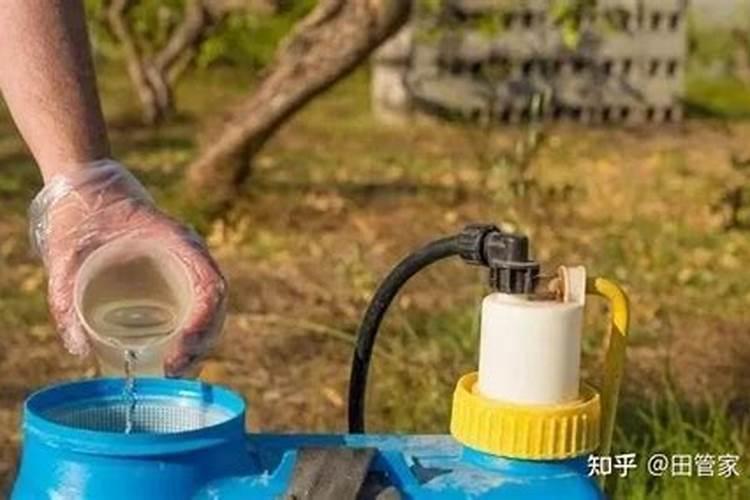 喷施硒肥对油桃含糖量的影响