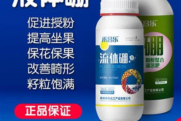 葡萄补硼的最佳时期,补硼过度会有什么影响