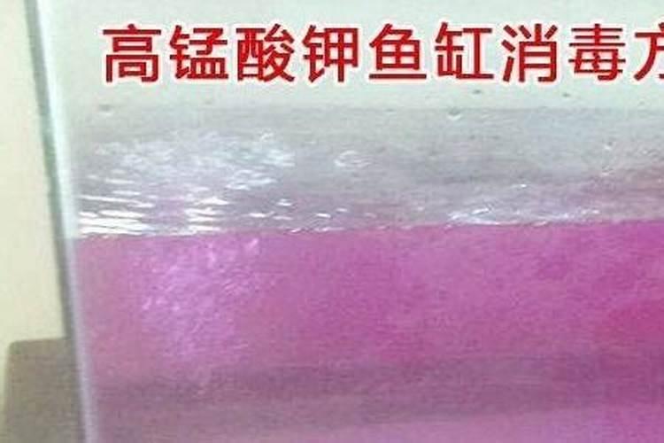 鱼饲料蛋白30与34的区别