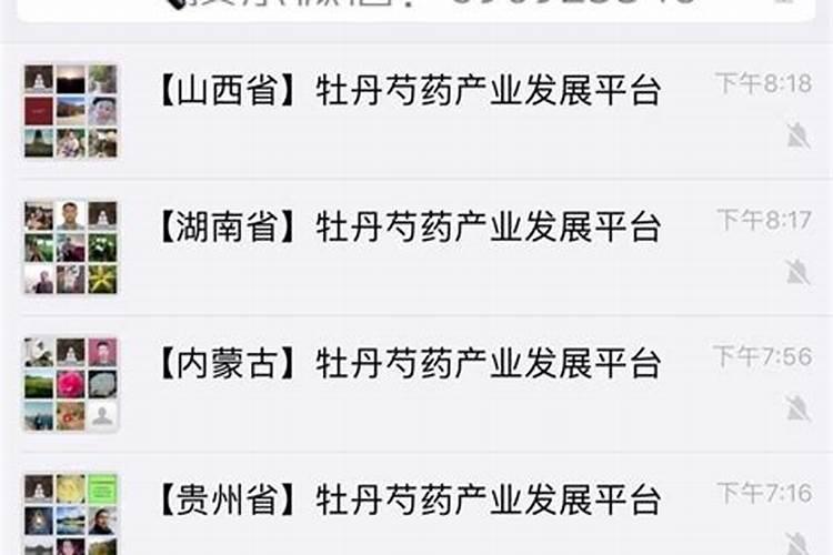 地栽牡丹春天施肥时间和方法