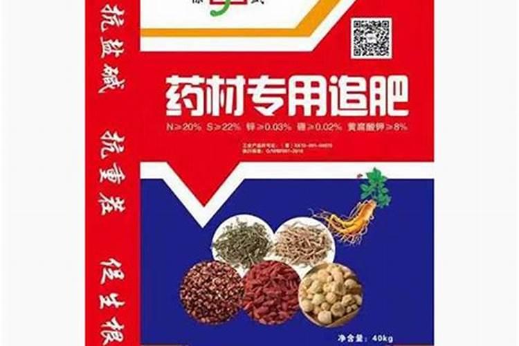 铁皮石斛如何种植？救命仙草铁皮石斛栽培方法介绍!