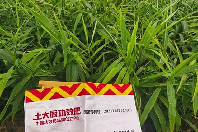 水溶肥快速化解方法