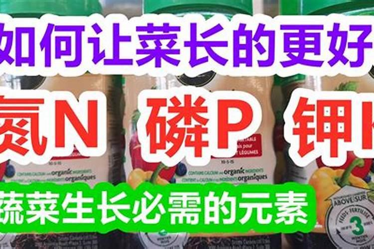 氮肥如何被植物吸收的？