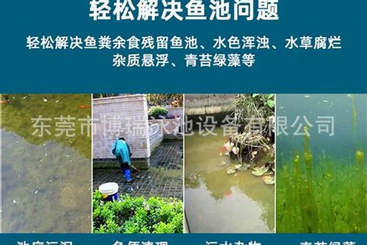鱼塘水可以浇花浇菜吗？