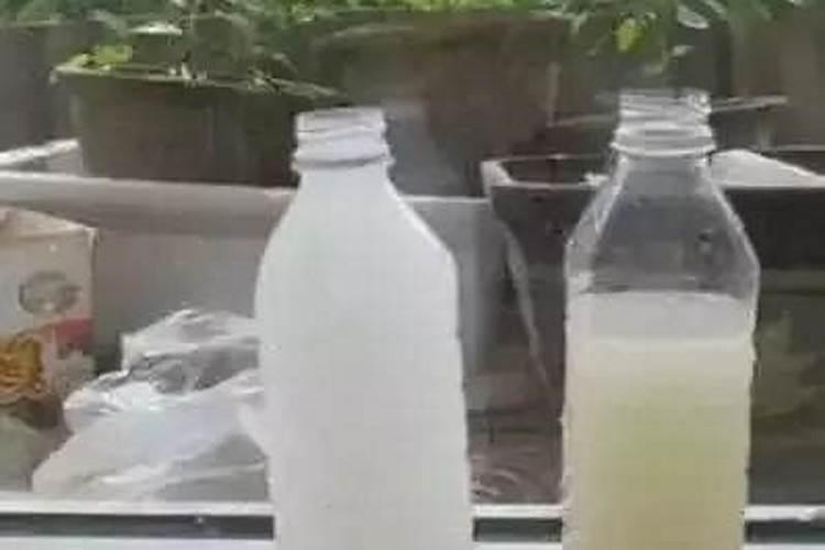 鸟粪能不能直接做花肥