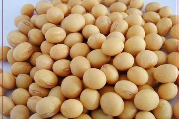 黄豆生长过程中施肥状况