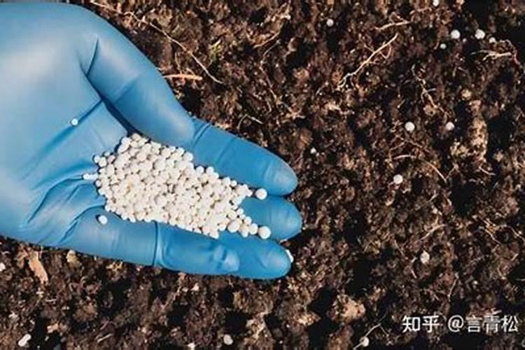 试述如何确定施肥量。
