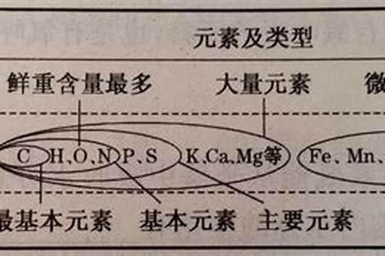 桃花怎么施肥