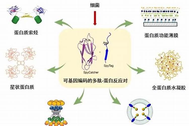 鱼蛋白肥料质量差别都很大,怎样挑选质量好的鱼蛋白肥料？
