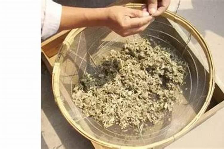 尿可以浇月季花吗