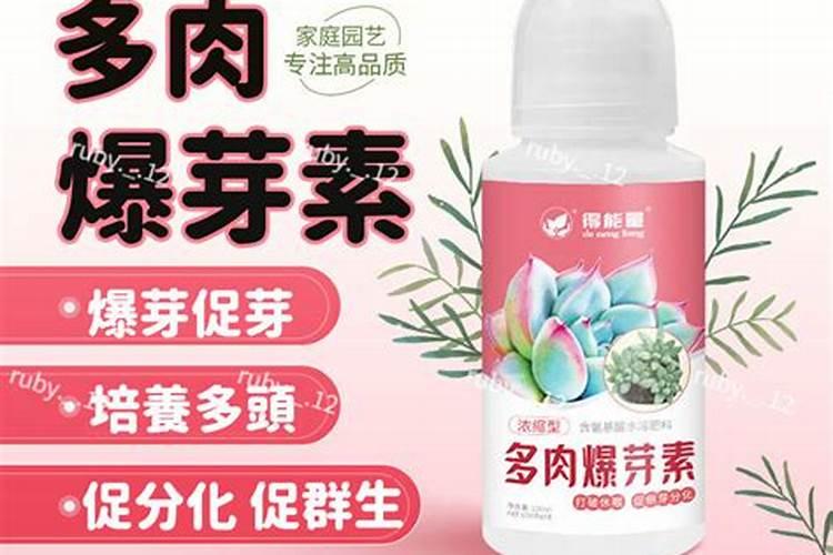 猕猴桃叶面卷曲怎么回事？