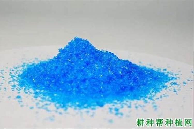 叶面肥都有哪些种类？不同种类的叶面肥怎么正确使用？