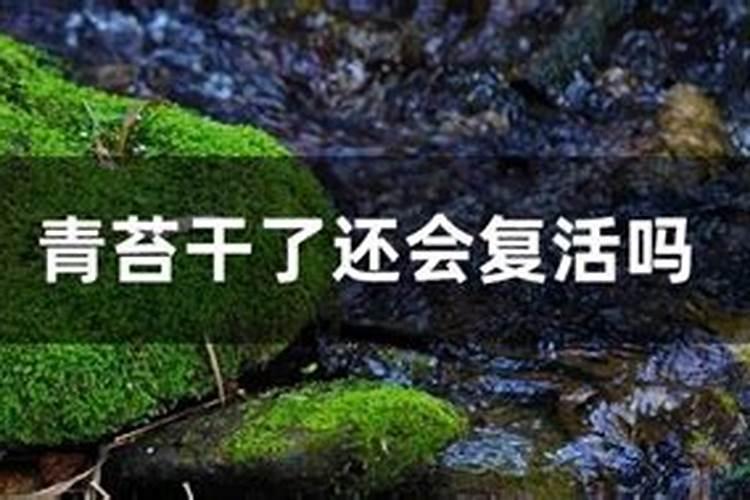 番茄在我国种植非常广泛,番茄产生膨果慢的原因是什么？
