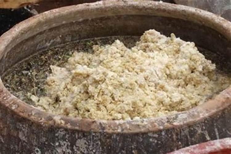 剩饭可以做肥料吗