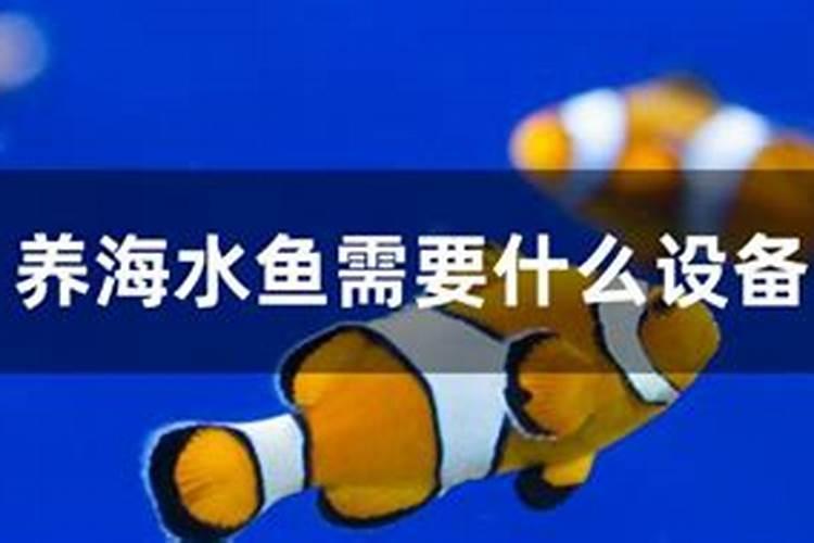 如何养殖热带鱼