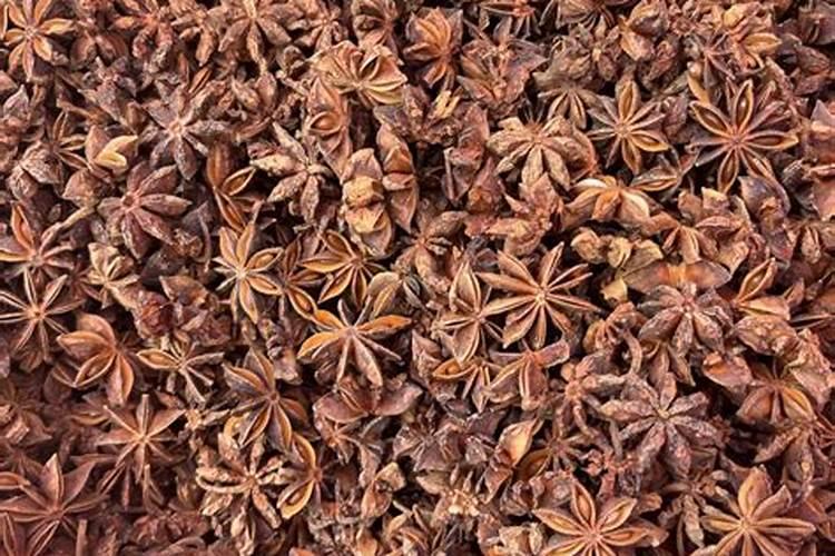 八角专用肥哪一种好？