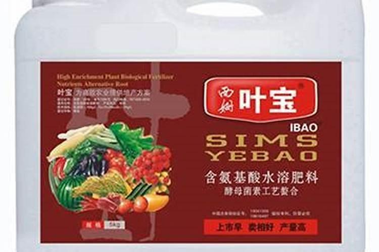 密叶宝石养护管理