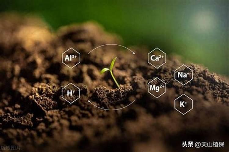 肥料在农业生产中起着什么作用？