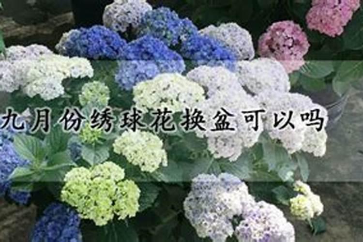 什么时候施肥最好 什么时候给花施肥最好