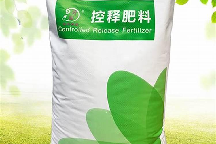 西瓜定植了半个月了,叶片呈鸡爪状就是不爱长怎么办