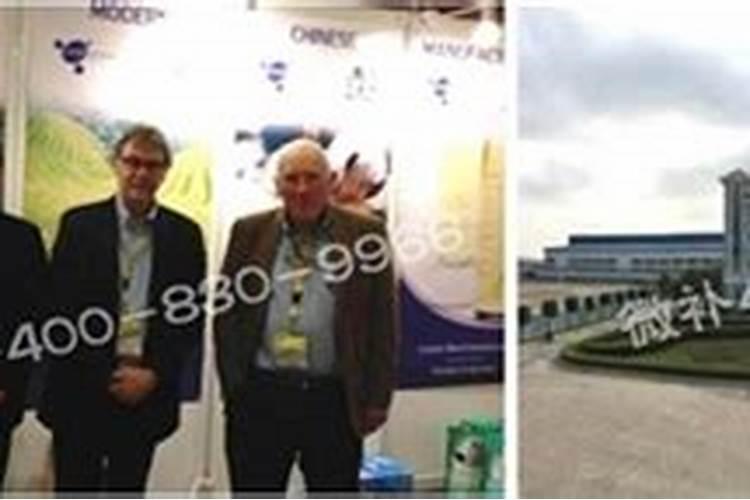 青海海东特产:乐都长辣椒