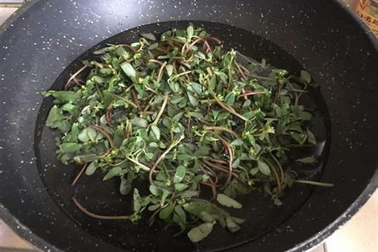 什么是紫苋菜？