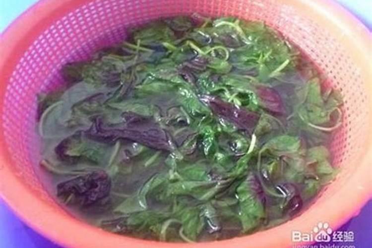 紫苋菜需要焯水吗