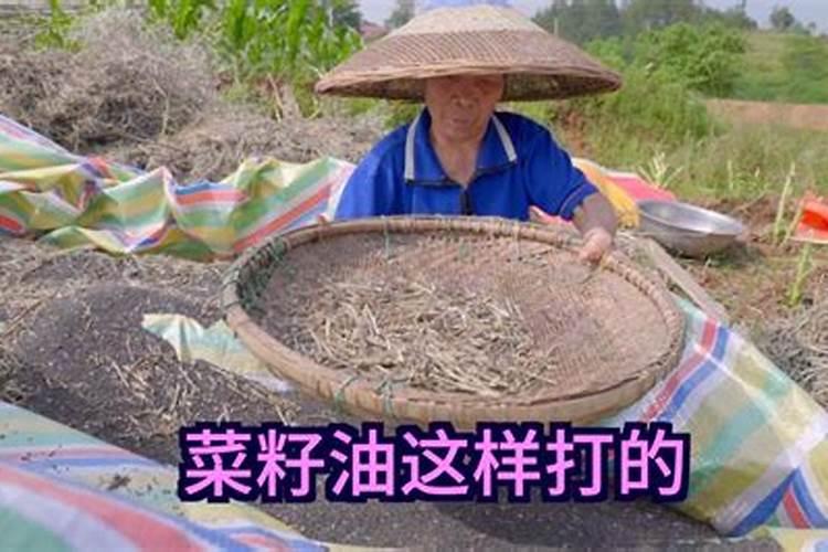 使用什么肥浇韭菜最好