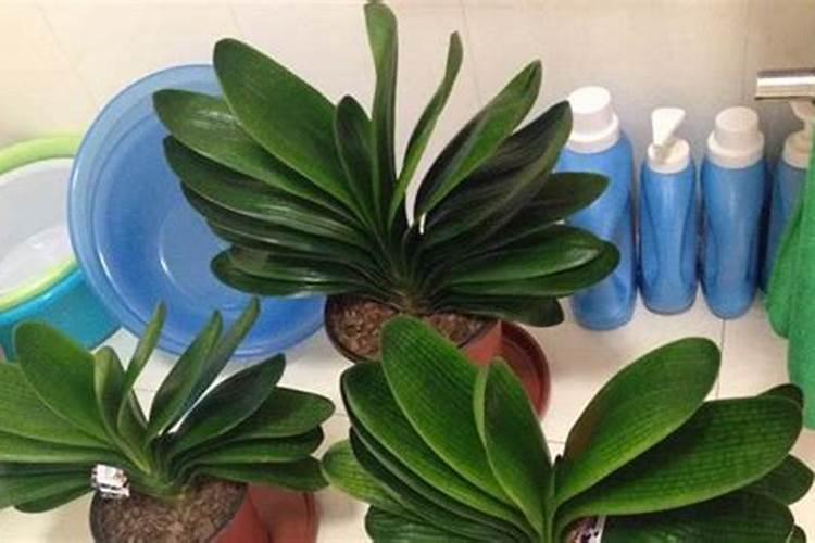 人的排泄物能做肥料吗？