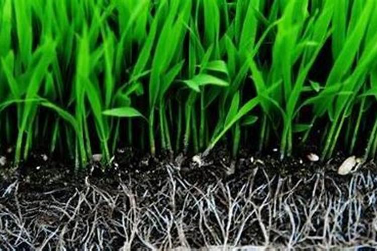 邦尼家居 怎么样