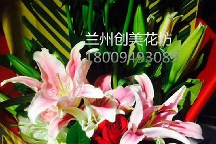 浇花的磷肥有哪些