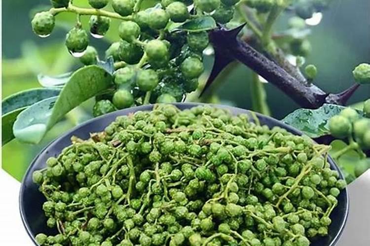 重庆特产:九叶青花椒