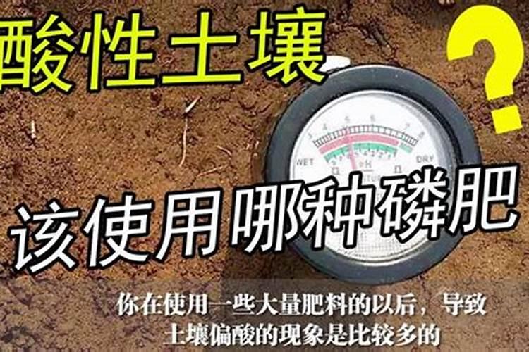 土壤如何调整酸碱度。
