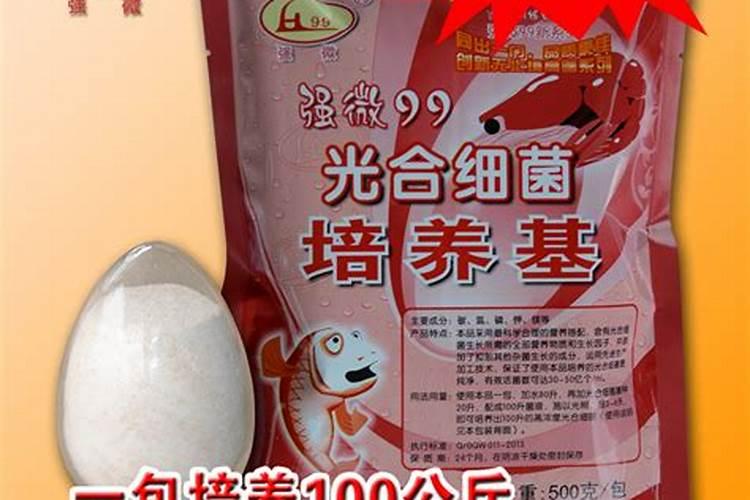 硝化细菌是放在水外面的过滤棉好还是放在水里面的过滤棉里好呢？