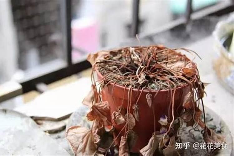无花果适宜生活在什么地方