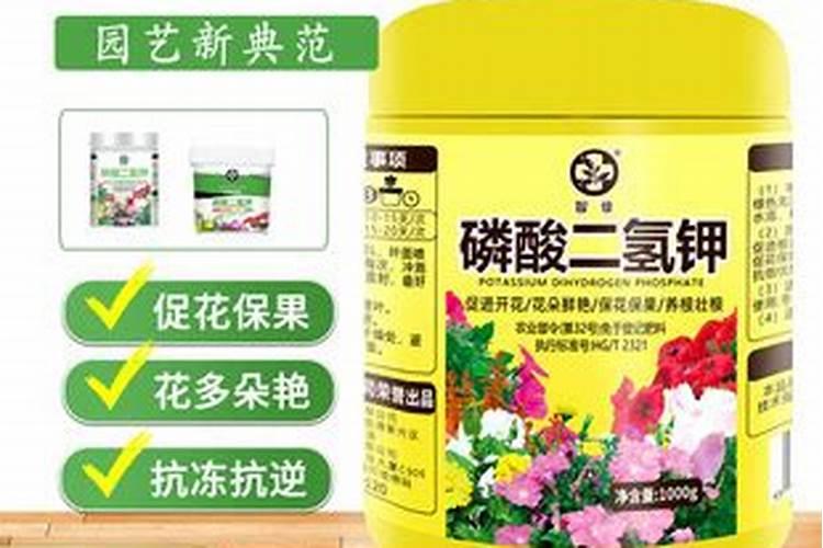 米兰有花苞能喷磷酸二氢钾吗