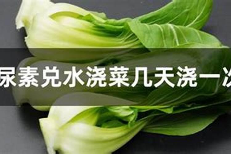 白菜用什么肥料长得快